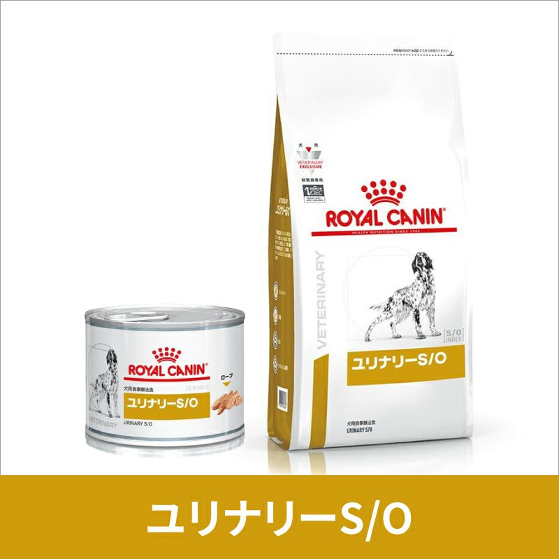ロイヤルカナン 犬用 ユリナリーS/O ウェット 200g缶×12 【C配送 