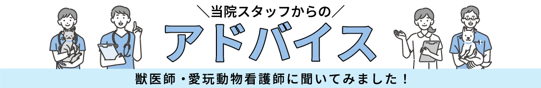 ヒルズ 犬用 消化ケア 【i/d】 ローファット チキン味&野菜入り