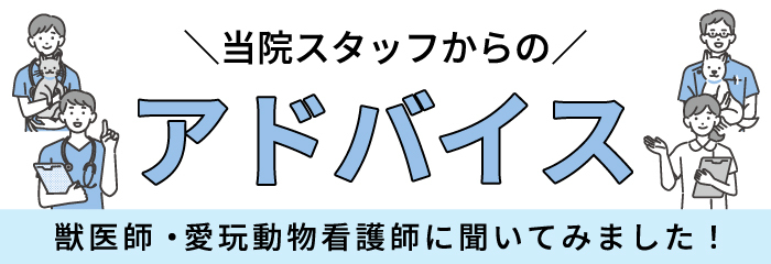 ロイヤルカナン　猫　糖コントロール　2kg