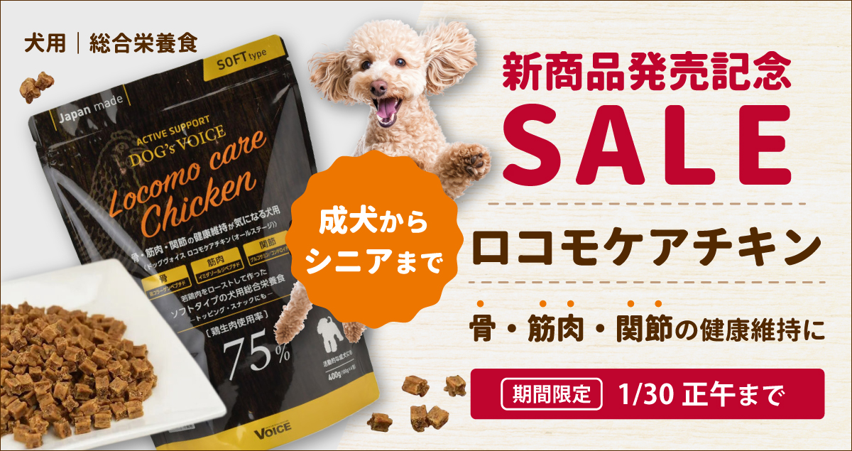 dvoice-lc_sale_1200_635.jpg